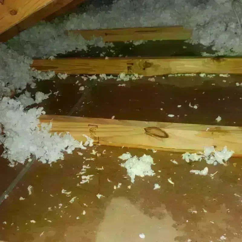 Attic Water Damage in Crow Agency, MT